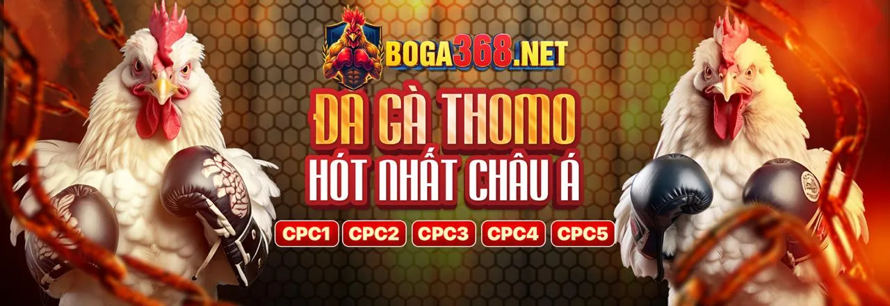 Đá Gà Trực Tuyến min88 cc